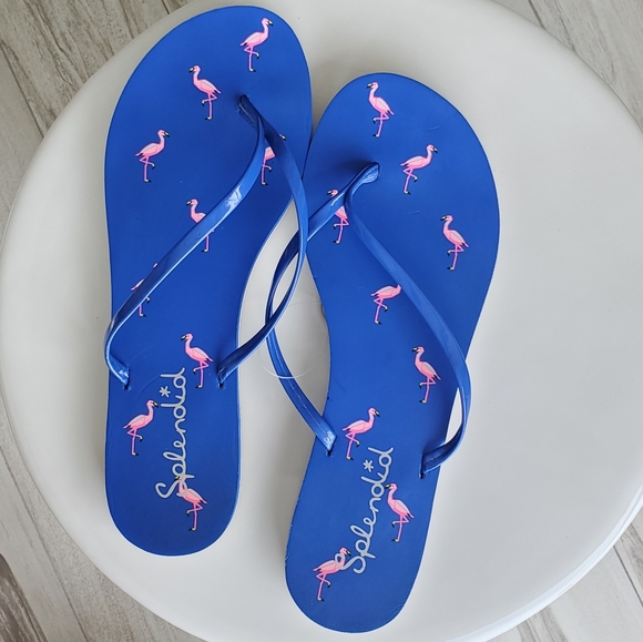 Splendid Flamingo Flip Flops, Blue with Pink Flamingos, Size 9, Never Worn - Picture 1 of 12